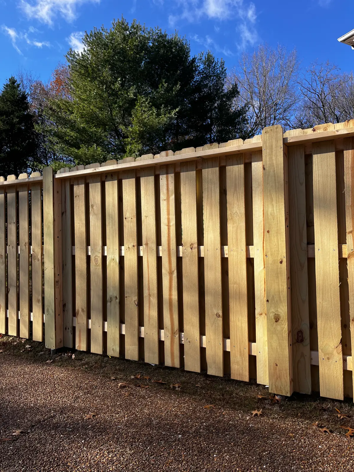 New cedar shadow-box privacy fence in a backyard
